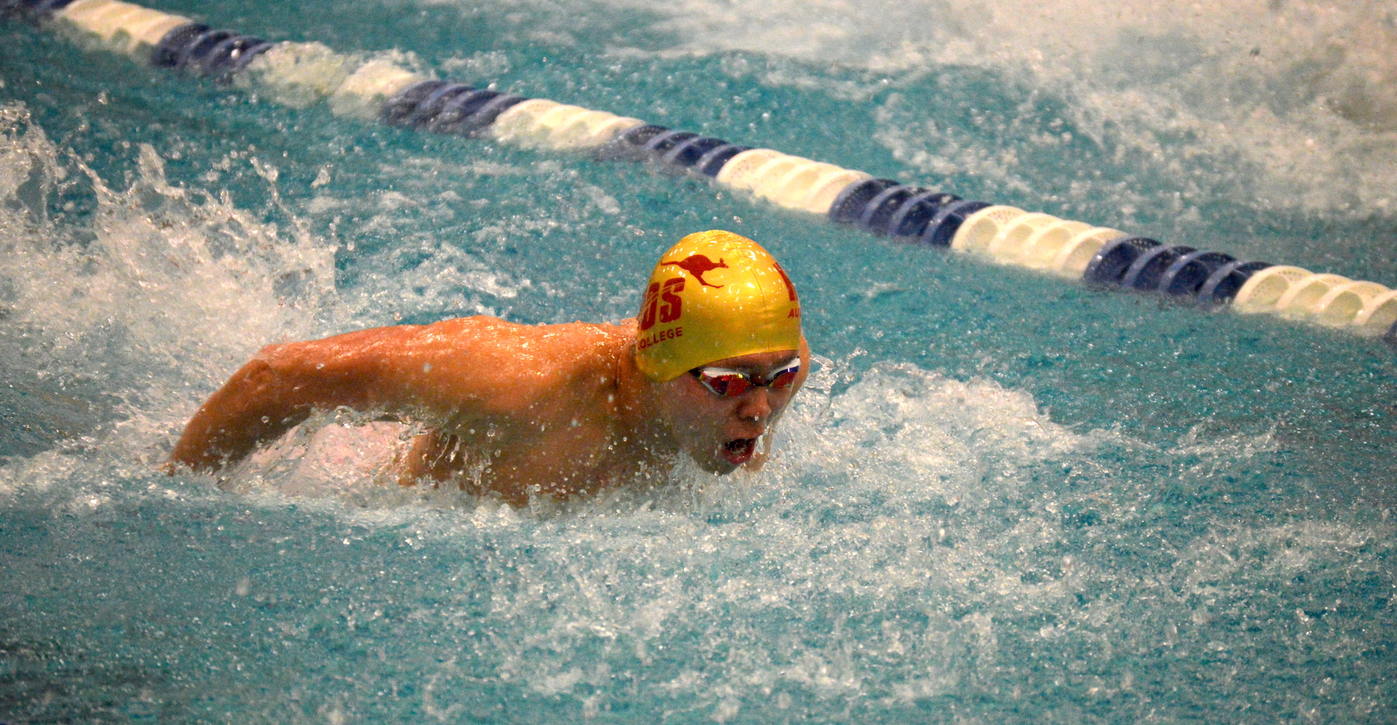 'Roo Men's Swimming Finishes SCAC Championship in 5th Place