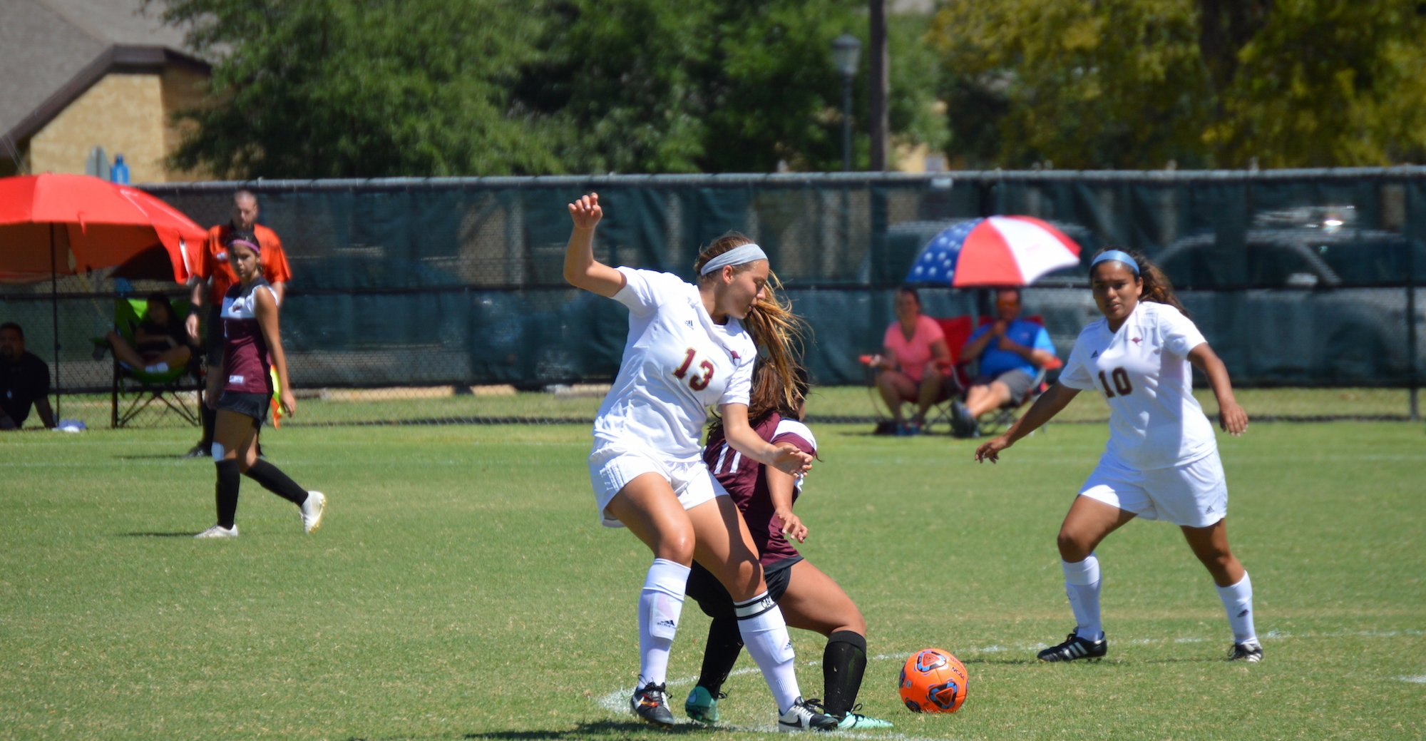 'Roos Fall Late at Schreiner