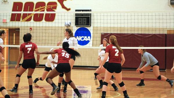 'Roo Volleyball Splits on Day One of SCAC Divisional