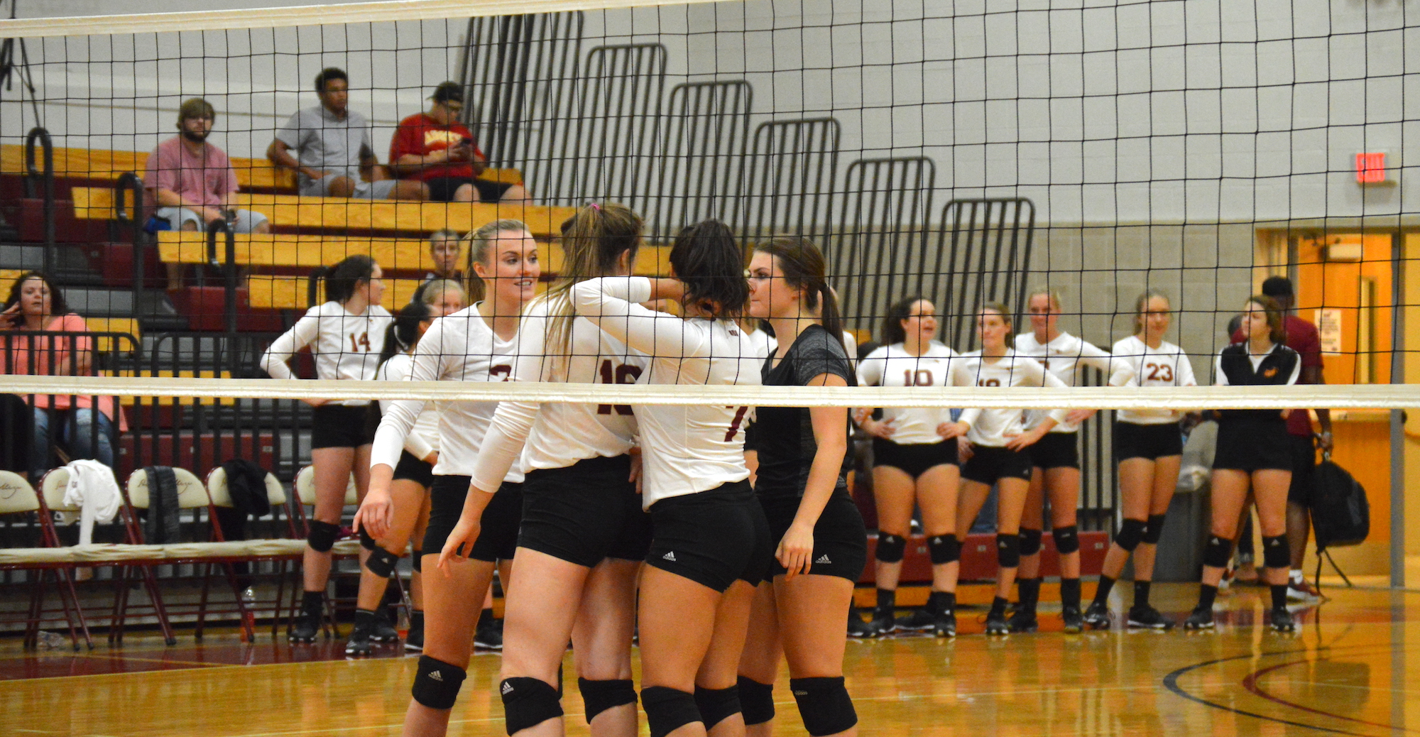 Volleyball Notches 20th Win for 20th Straight Season