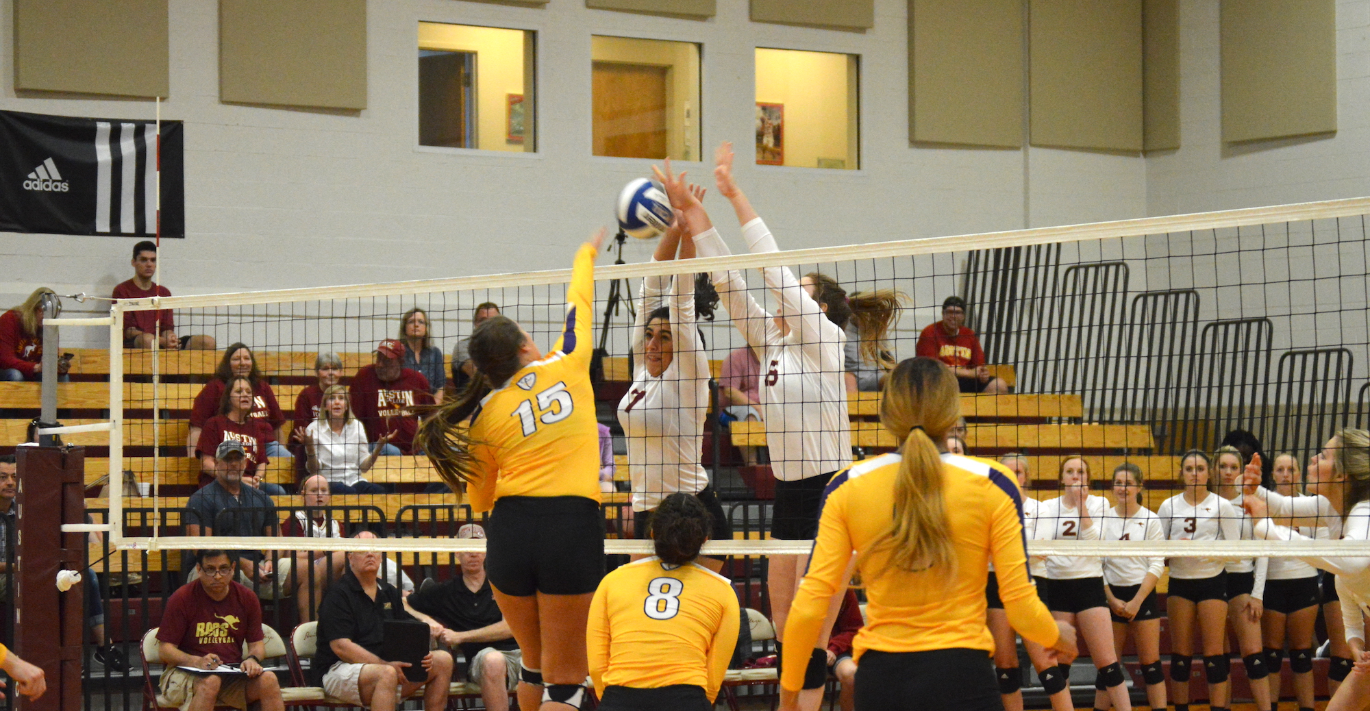 Austin College Finishes Fifth at SCAC Volleyball Championship
