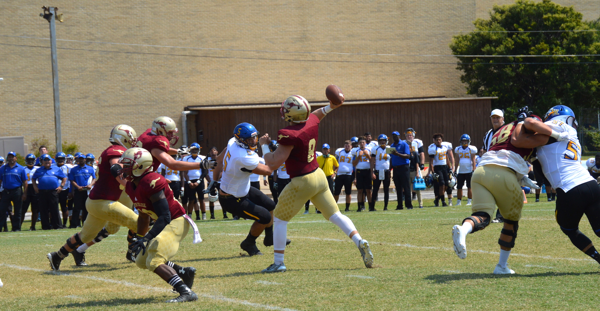 'Roos Dominate Early in Win Over Wayland Baptist
