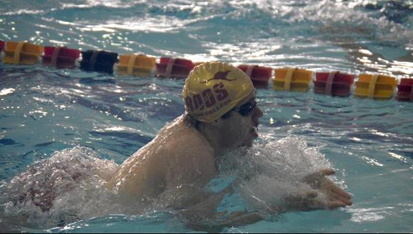 Men's Swimming & Diving Strikes Twice at Home