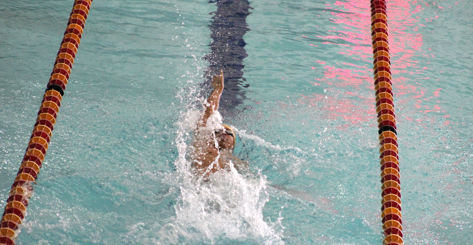 Men's Swimming Dominant in Win Over McMurry