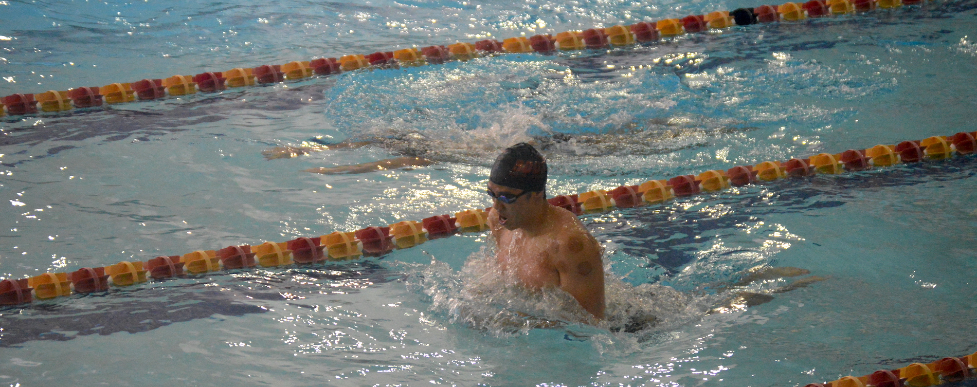 Records Fall for 'Roo Swimming Against UTPB