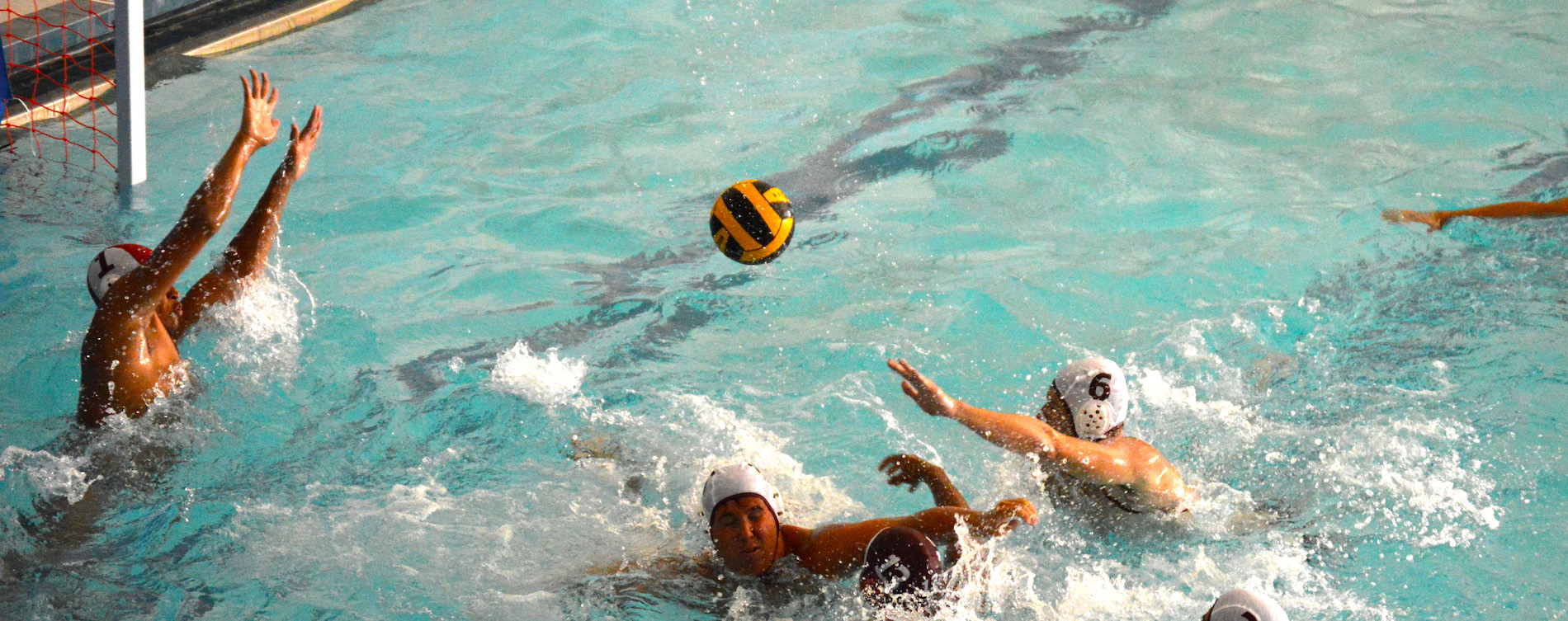 'Roo Men's Water Polo Picked Sixth in MPSF Preseason Poll