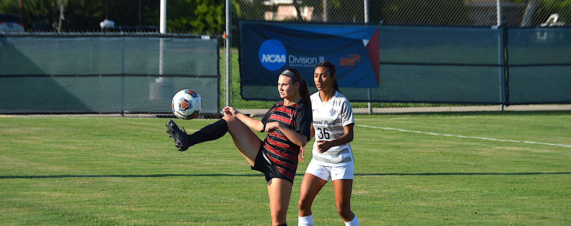 Tigers Top 'Roos in SCAC Competition