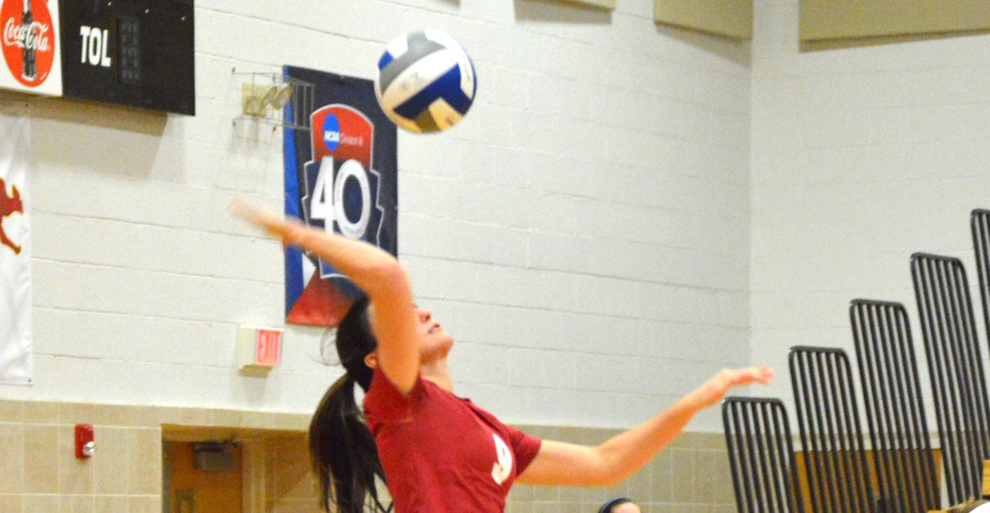 'Roo Volleyball Splits on Day One of AC Invitational