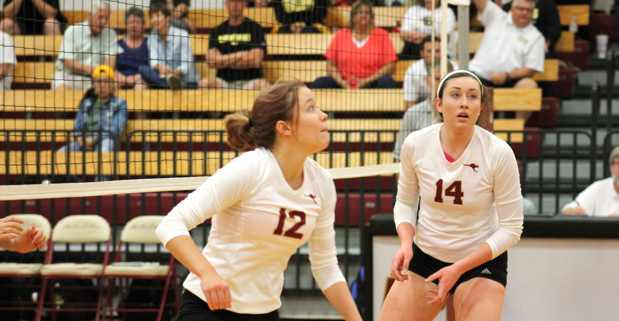Volleyball Sweeps Belhaven and LeTourneau