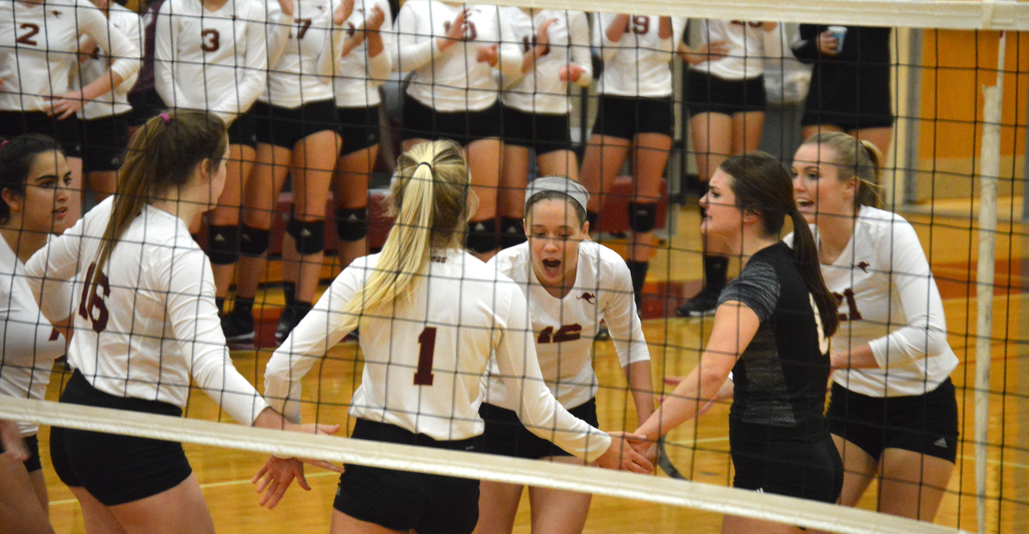 'Roo Volleyball Clinches Spot in SCAC Tournament