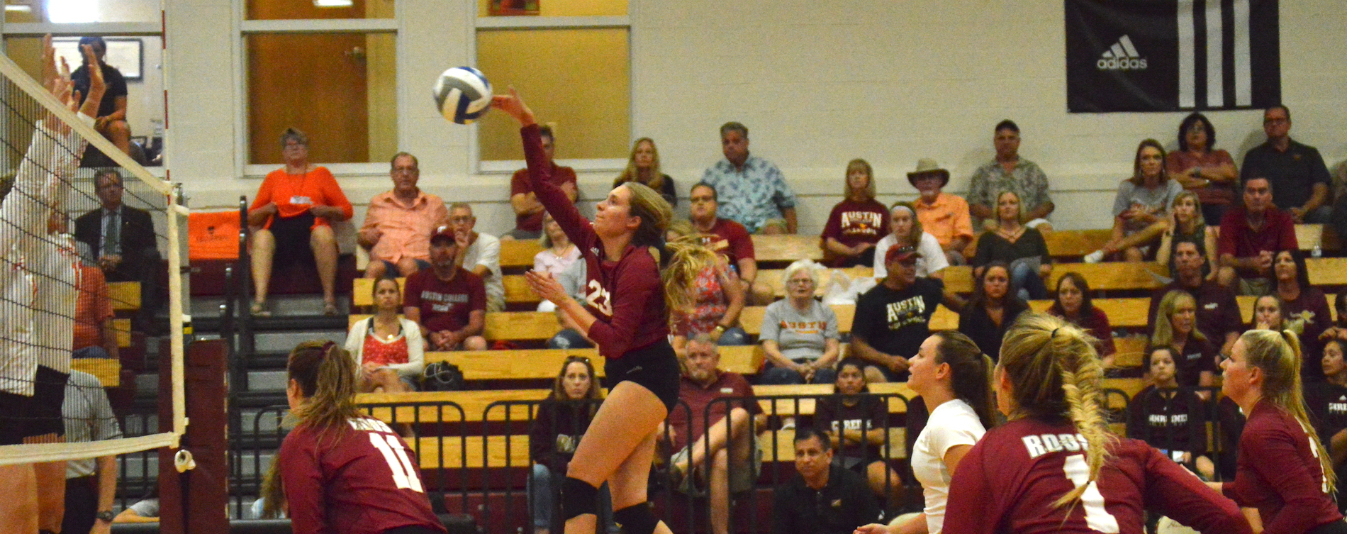 'Roos Fall in Five to No. 24 UMHB