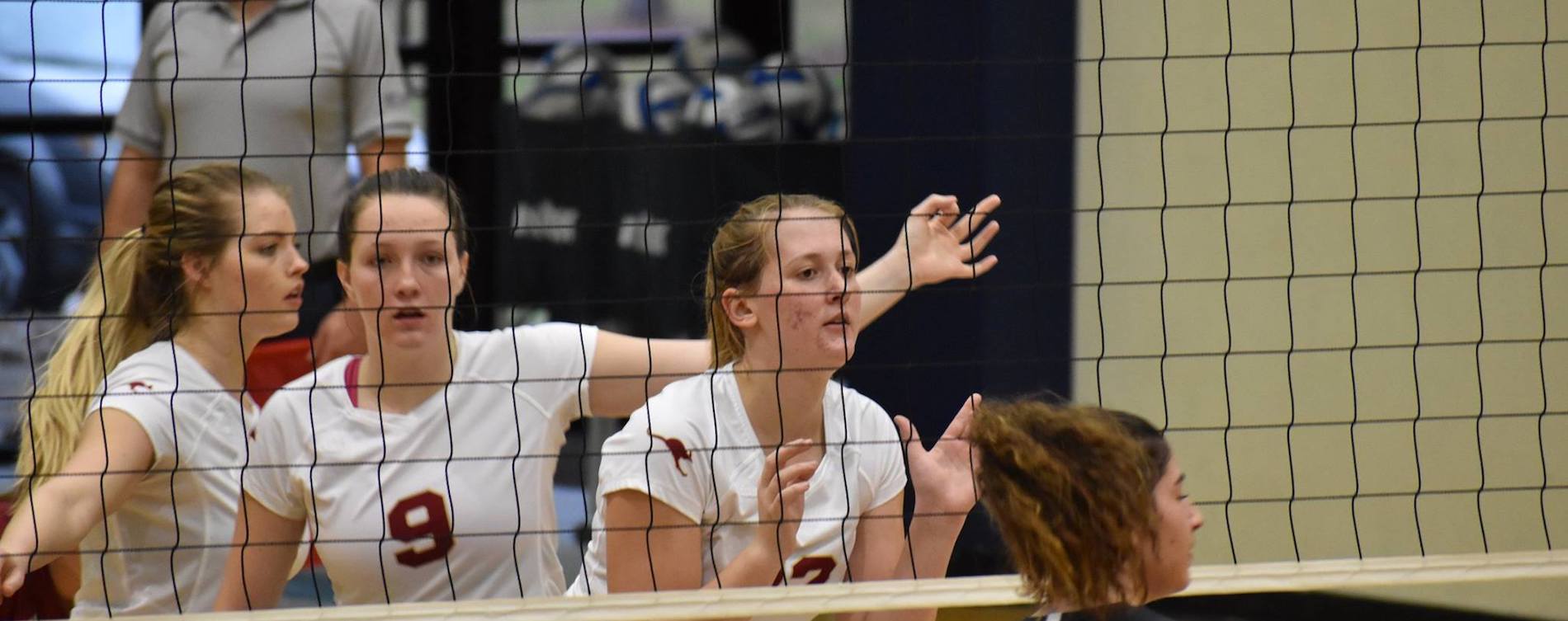 Volleyball Finishes 6th at SCAC Tournament