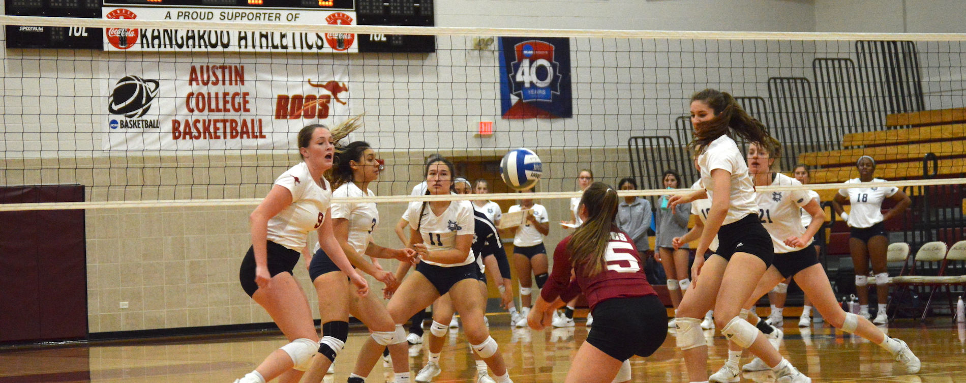 'Roo Volleyball Falls to Dallas