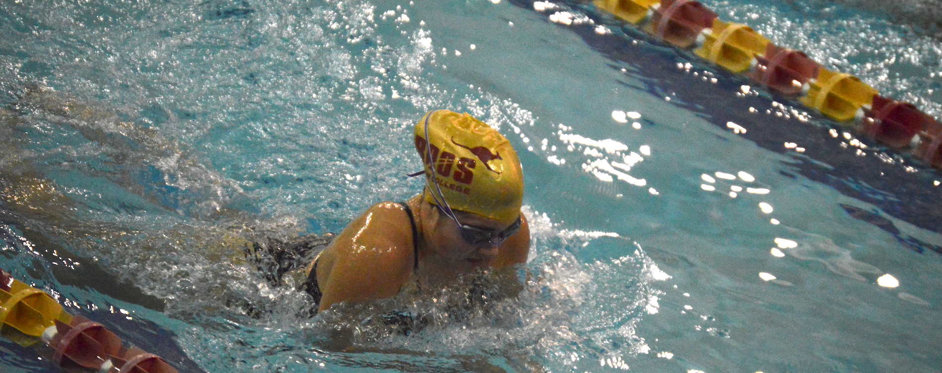 'Roos Swim Well Against Colorado and McMurry