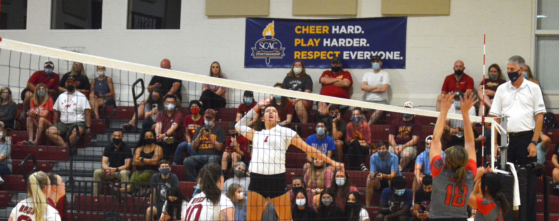'Roo Volleyball Sweeps Sul Ross