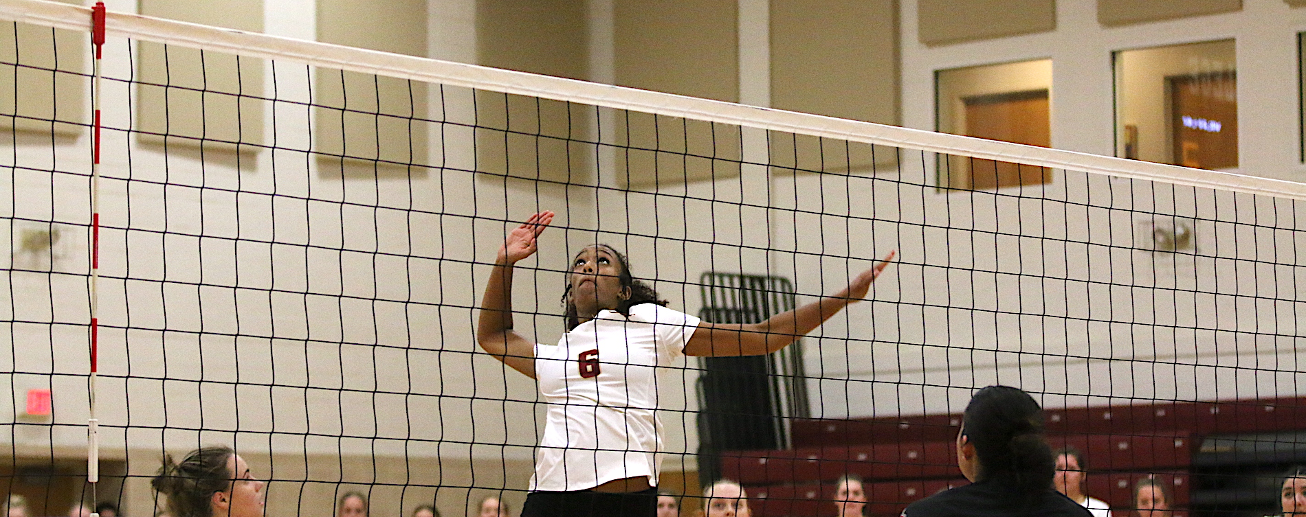 'Roo Volleyball Sweeps Lyon and Sul Ross